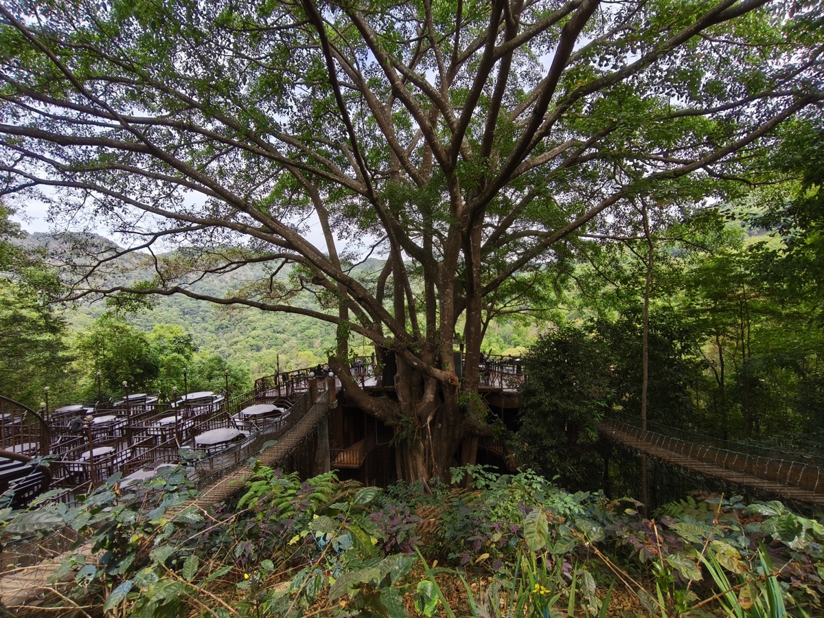 ここは行くべき。ザ・ジャイアント・チェンマイ